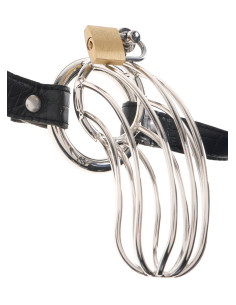 .Gaiola para o Pénis (O Prisioneiro)