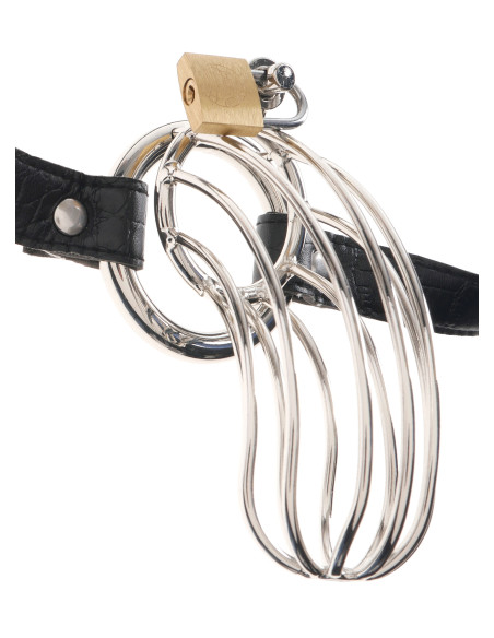 .Gaiola para o Pénis (O Prisioneiro)