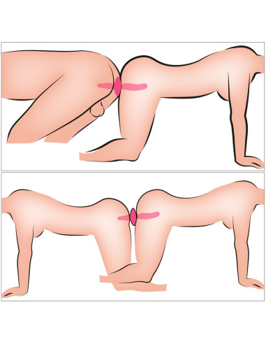 2 em 1 Vibrador + Plug Anal