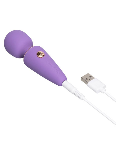 Mini Vibe Microwand