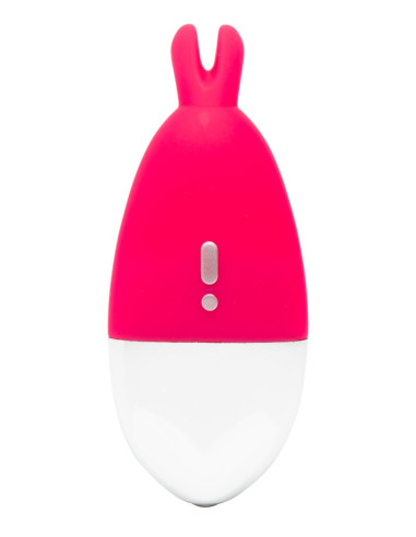 Knicker Vibrator