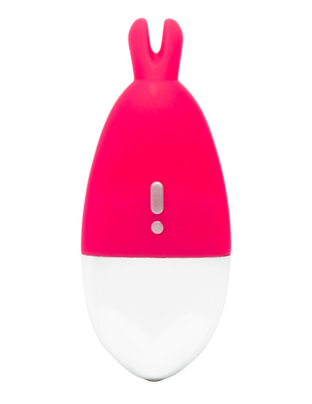 Knicker Vibrator